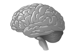 Brain Cancer