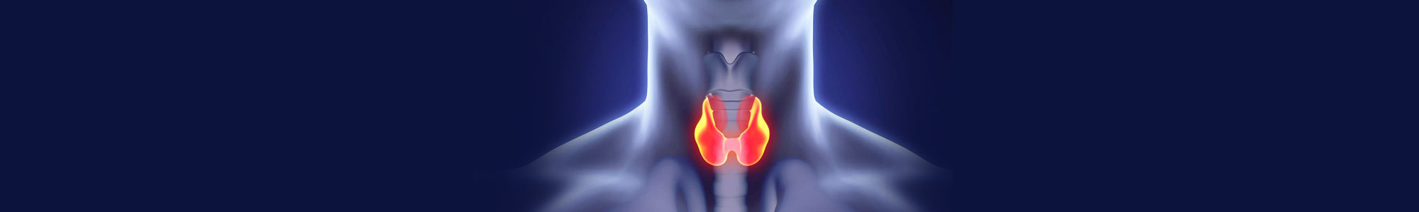 Thyroid